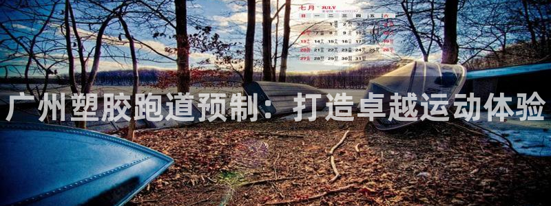 凯时平台登录:广州塑胶跑道预制:打造卓越运动体验