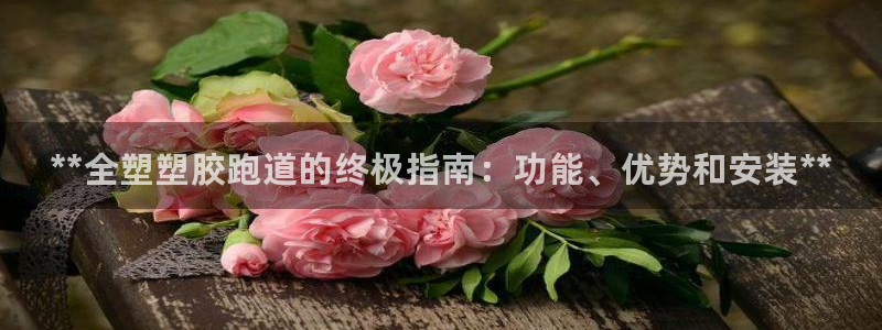 尊龙会ktv价格:**全塑塑胶跑道的终极指南:功能、优势和安