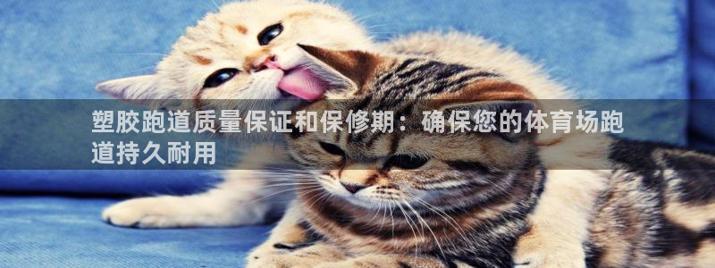 尊龙手机官方客户端下载安卓:塑胶跑道质量保证和保修期:确保您